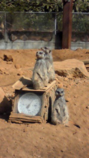 �C���x�܂�Ȃ��ł���