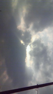 �䂩��Ď~�܂Ȃ�