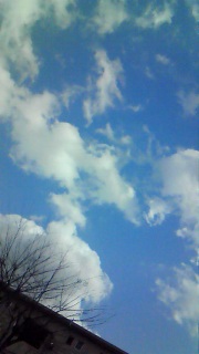 ����͂��Ԃ񒼊�