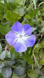 �o��̋L�O��