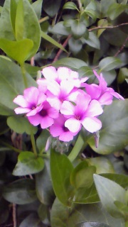 �������̂ق����ȒP�����ǂ�