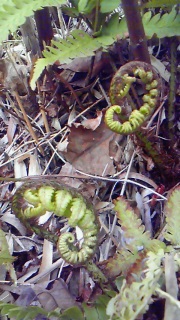 �v���o���Ȃ����ǒm���Ă���