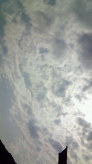 �ł�������