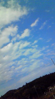 �ǂ�����D��