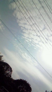 ����͂���ł���