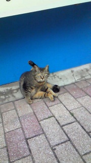 �^�C�~���O����������������