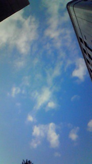 ���ƂȂ������Ď��ɂ͗��h�ȗ��R�ɂȂ�