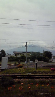 ����ς���{����Ă�����