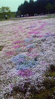 ��ʂɐF�����o��