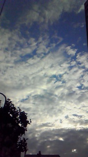 ����͓����悤�ł��Ⴄ���߂Ă̌i�F