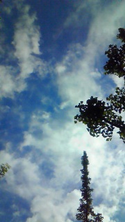 �ł����͋��Ȃ̂ł�