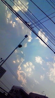 �D���Ȃ��̂͂ǂ��ł����Ă݂����