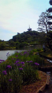 �����͉������Ă����Ȃ�����