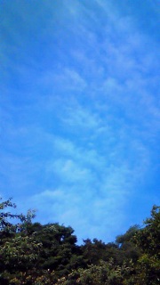 �����Ă�����ǂ����悤