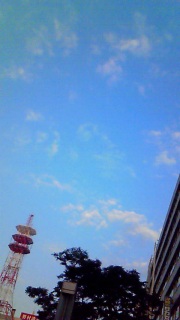 ���ꂪ�����Ǝv�����悤�ȋC�����邯���