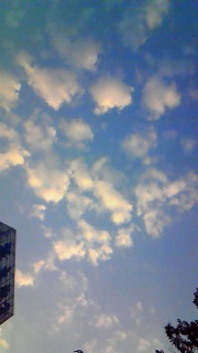 �{���ɂ����ȕ\��������Ă�����