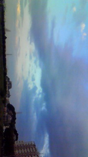 �_���\������