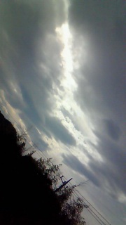 �_�ƌ��̊֌W