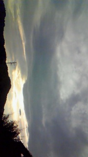 ���͂₳�����F�ƂȂ��čL����n�߂�