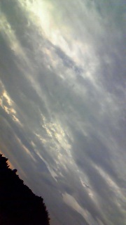 �����������������ڈڂ肵�Ă܂�