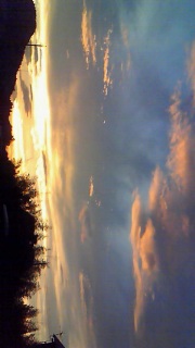 ���c�ɂ������ǁA�F�X�Ƃ��肪�Ƃ�