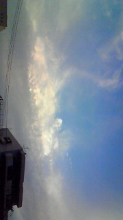 �����Ɏ䂩�ꂽ��