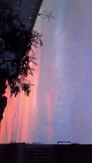 �Ōゾ���炱��