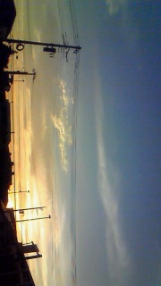 �Y�������ʔ���������