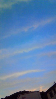 �B�肽�����̂͂ЂƂ���Ȃ�