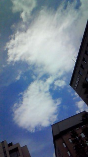 ��Ɉ�Ԏ�������