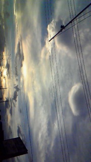 �S���D���Ă���