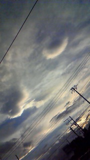 �ǂ����Ă��N�𓦂������Ȃ�������