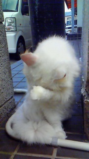 �厖�Ȏ��Ԃ͎ז����܂����