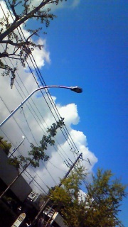 �Ɣ��Ɨ΂Ɓc