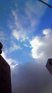 �Ɣ��ƊD�F��