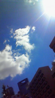 ���̌��𑨂���