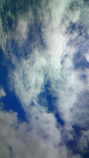 �����čD���Ȃ񂾂���