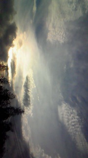 �����������ǂ�������