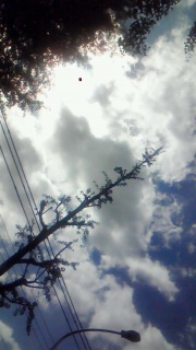 �{���͂���ł͂Ȃ���