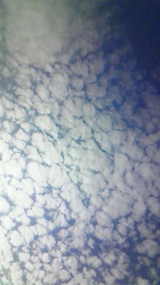 �D�����Ċ�����