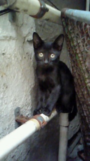 �����͂���̂������