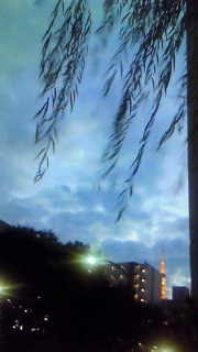 ���ꂪ�܂������Ǝv���܂���