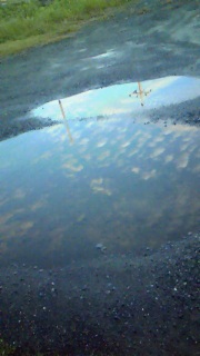 ����ǂ��|����͓̂��