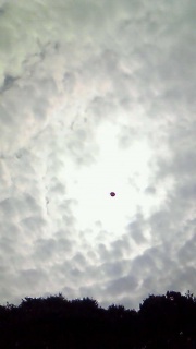 ����͂���ł���ł��傤