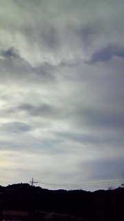 �F�X�Ɨ��R�͂���̂ł���