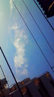 ���ʂ������o�D��ł�