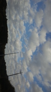 ���ČĂ񂾂炢���ł���