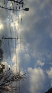 ���������Ă�������ɂ����Ȃ�܂���