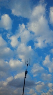 �ڈ󂪖��ɗ����Ă܂���