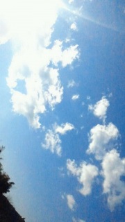 ���R�ł����������ł�